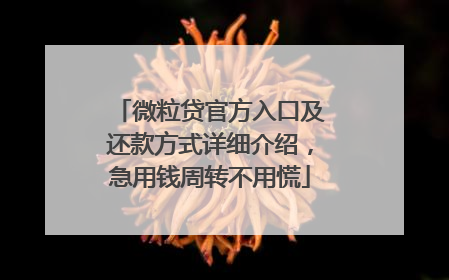 微粒贷官方入口及还款方式详细介绍，急用钱周转不用慌