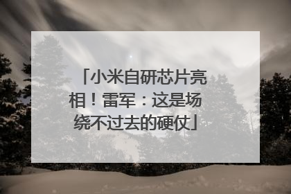 小米自研芯片亮相！雷军：这是场绕不过去的硬仗