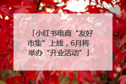 小红书电商“友好市集”上线，6月将举办“开业活动”