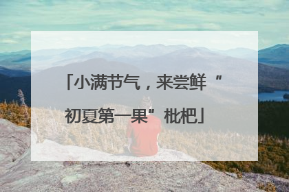 小满节气，来尝鲜“初夏第一果”枇杷
