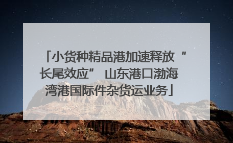 小货种精品港加速释放“长尾效应” 山东港口渤海湾港国际件杂货运业务