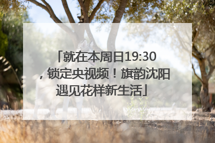 就在本周日19:30，锁定央视频！旗韵沈阳 遇见花样新生活