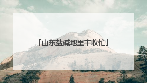山东盐碱地里丰收忙