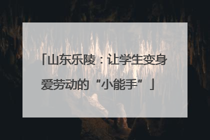 山东乐陵：让学生变身爱劳动的“小能手”