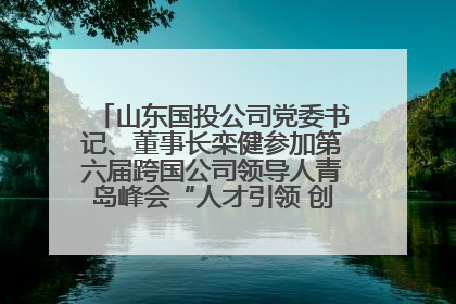 山东国投公司党委书记、董事长栾健参加第六届跨国公司领导人青岛峰会“人才引领 创新驱动”人力资源高质量发展对话会