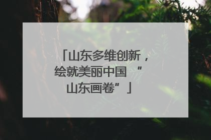 山东多维创新，绘就美丽中国 “山东画卷”