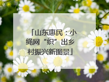 山东惠民：小绳网“织”出乡村振兴新图景