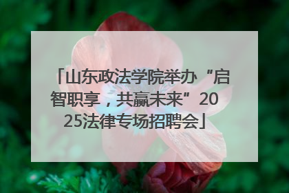 山东政法学院举办“启智职享，共赢未来”2025法律专场招聘会