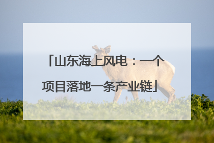 山东海上风电：一个项目落地一条产业链