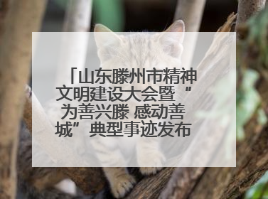 山东滕州市精神文明建设大会暨“为善兴滕 感动善城”典型事迹发布活动举行