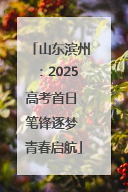 山东滨州：2025高考首日 笔锋逐梦 青春启航