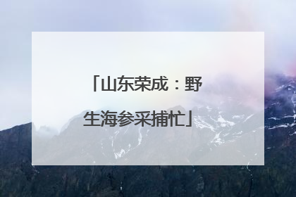 山东荣成：野生海参采捕忙