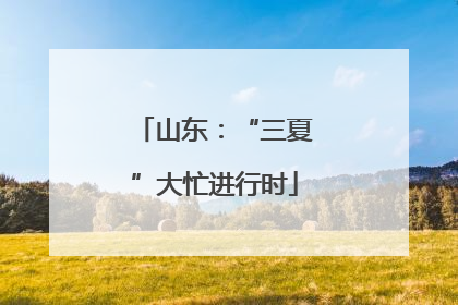 山东：“三夏”大忙进行时