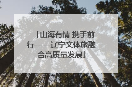 山海有情 携手前行——辽宁文体旅融合高质量发展