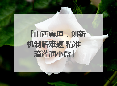 山西襄垣：创新机制解难题 精准滴灌润小微
