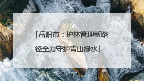 岳阳市：护林管理新路径全力守护青山绿水