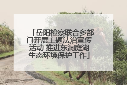 岳阳检察联合多部门开展主题法治宣传活动 推进东洞庭湖生态环境保护工作