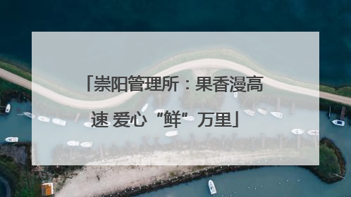 崇阳管理所：果香漫高速 爱心“鲜”万里