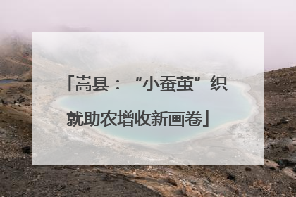 嵩县：“小蚕茧”织就助农增收新画卷
