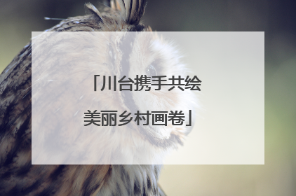 川台携手共绘美丽乡村画卷
