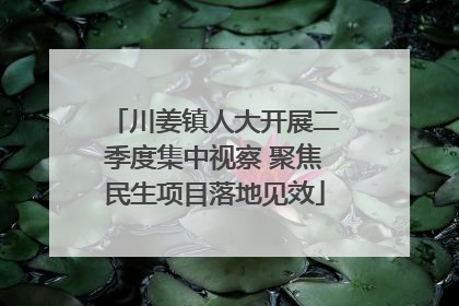 川姜镇人大开展二季度集中视察 聚焦民生项目落地见效