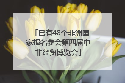 已有48个非洲国家报名参会第四届中非经贸博览会