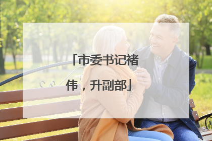 市委书记褚伟，升副部