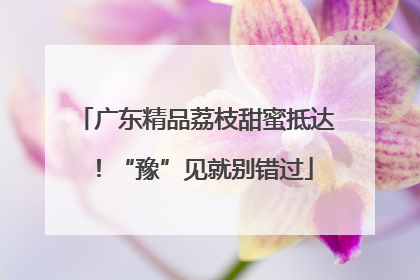 广东精品荔枝甜蜜抵达！“豫”见就别错过