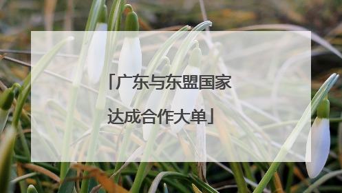 广东与东盟国家达成合作大单