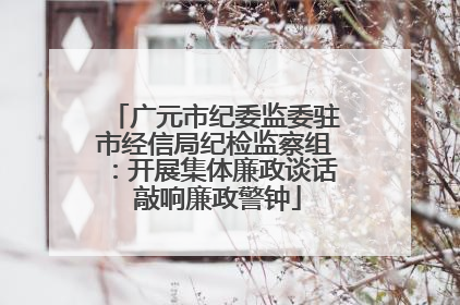 广元市纪委监委驻市经信局纪检监察组：开展集体廉政谈话 敲响廉政警钟