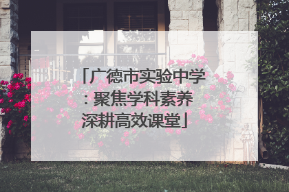 广德市实验中学：聚焦学科素养 深耕高效课堂