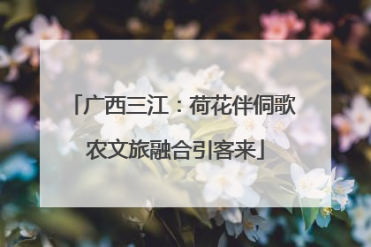 广西三江：荷花伴侗歌 农文旅融合引客来