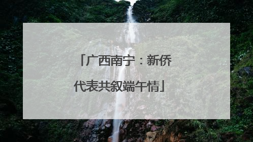 广西南宁：新侨代表共叙端午情