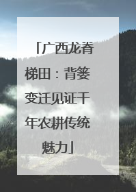 广西龙脊梯田：背篓变迁见证千年农耕传统魅力