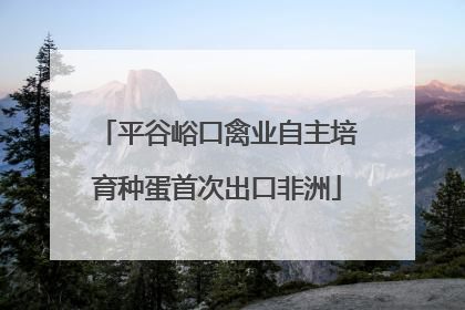 平谷峪口禽业自主培育种蛋首次出口非洲