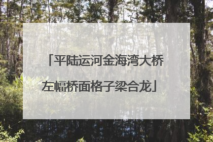 平陆运河金海湾大桥左幅桥面格子梁合龙