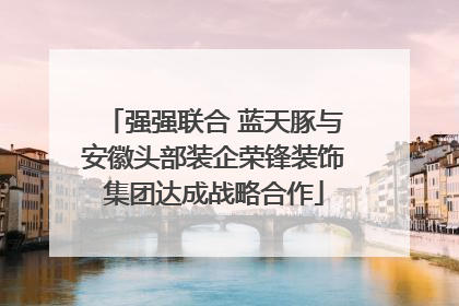强强联合 蓝天豚与安徽头部装企荣锋装饰集团达成战略合作