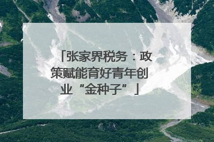 张家界税务：政策赋能育好青年创业“金种子”