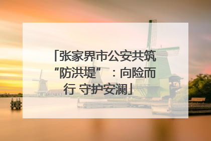 张家界市公安共筑“防洪堤”：向险而行 守护安澜