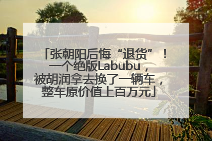 张朝阳后悔“退货”！一个绝版Labubu，被胡润拿去换了一辆车，整车原价值上百万元