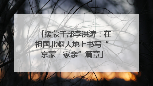 援蒙干部李洪涛：在祖国北疆大地上书写“京蒙一家亲”篇章