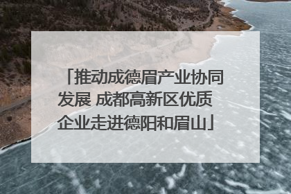 推动成德眉产业协同发展 成都高新区优质企业走进德阳和眉山