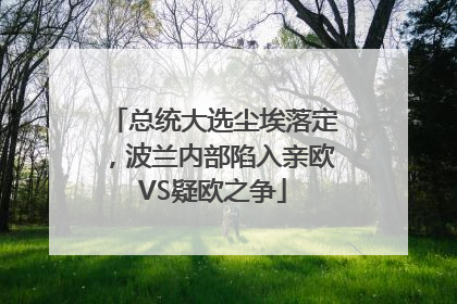 总统大选尘埃落定，波兰内部陷入亲欧VS疑欧之争