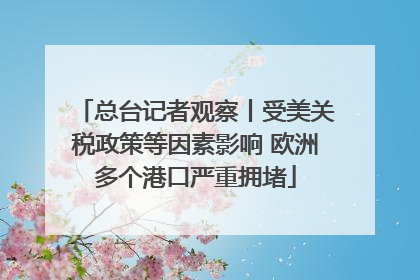 总台记者观察丨受美关税政策等因素影响 欧洲多个港口严重拥堵