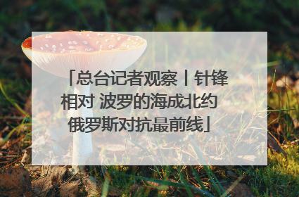 总台记者观察丨针锋相对 波罗的海成北约俄罗斯对抗最前线