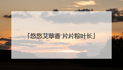 悠悠艾草香 片片粽叶长