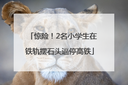 惊险！2名小学生在铁轨摆石头逼停高铁