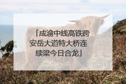 成渝中线高铁跨安岳大道特大桥连续梁今日合龙