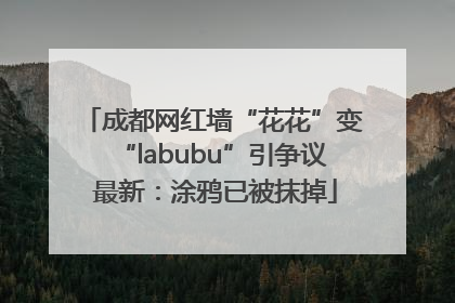 成都网红墙“花花”变“labubu”引争议 最新：涂鸦已被抹掉