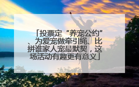 投票定“养宠公约”、为爱宠做牵引绳、比拼谁家人宠最默契，这场活动有趣更有意义